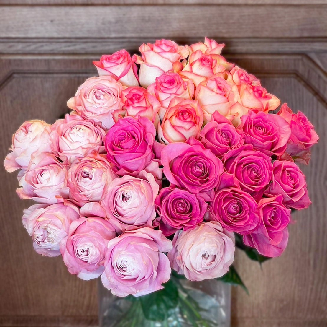 Pink Rose | DENDA Flowers & Plants
